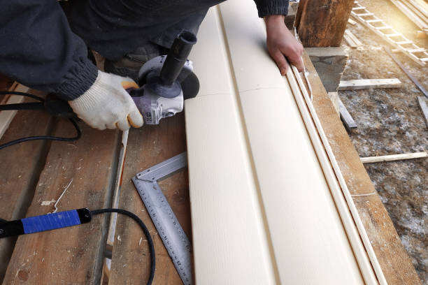 Best Steel Siding Installation  in Southaven, MS
